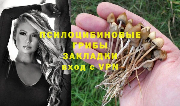 скорость Алексеевка