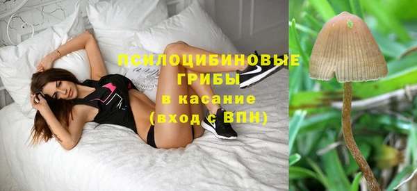 jwh Алзамай